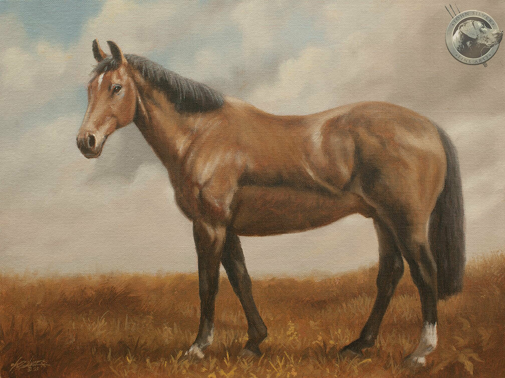 BEAUTIFUL HORSE PORTRAIT ORIGINAL OIL PAINTING 16 x 12 inch Artist JOHN SILVER